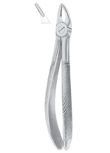 Fig. 30S upper roots for children Fig. 30S upper roots for children